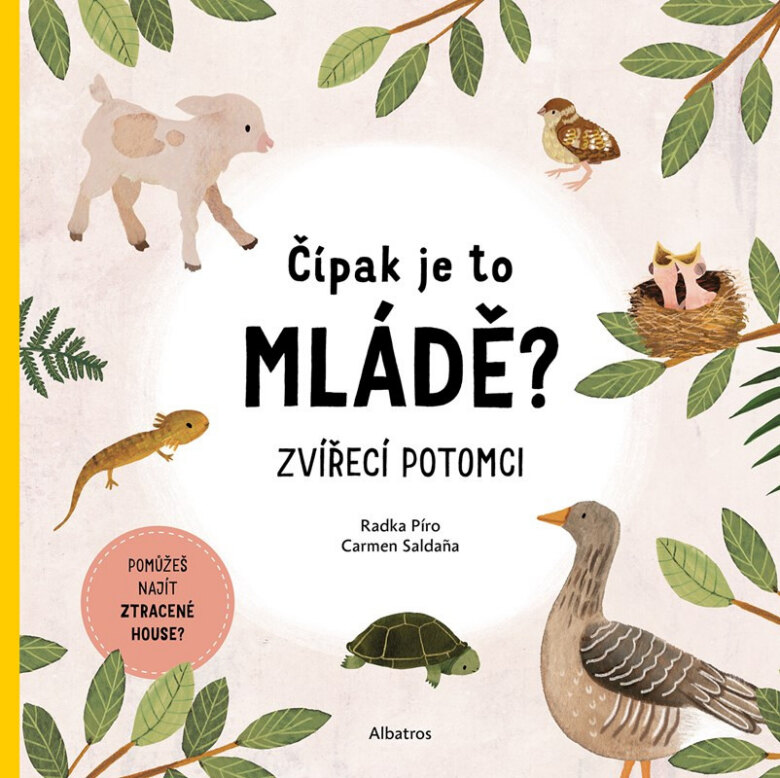 Obálka knihy Čípak je to mládě?