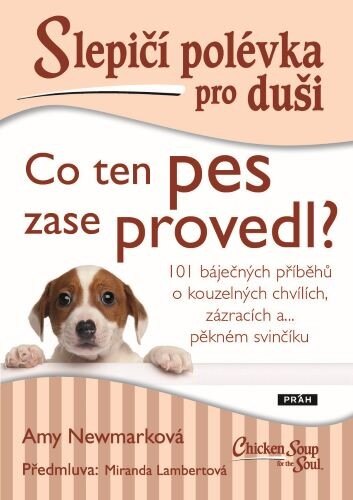 Obálka knihy Slepičí polévka pro duši: Co ten pes zase provedl?