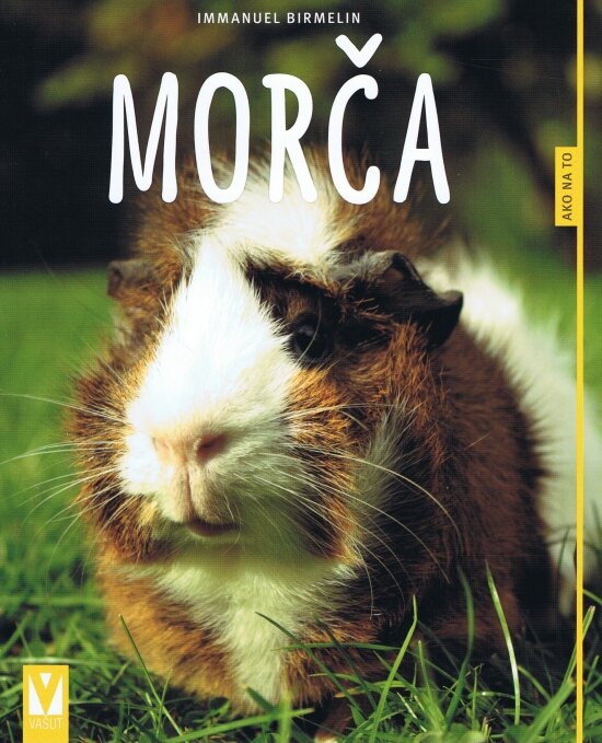 Obálka knihy Morča- ako na to