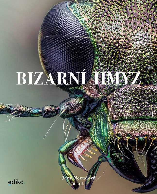 Obálka knihy Bizarní hmyz