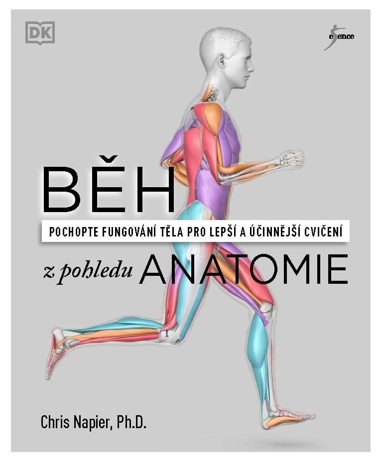 Obálka knihy Běh z pohledu anatomie - Správná technika, prevence před zraněním, nastavení tréninku