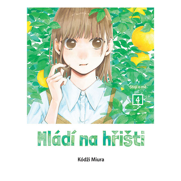 Obálka knihy Mládí na hřišti 4