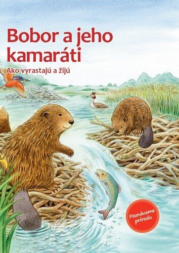Obálka knihy Bobor a jeho kamaráti