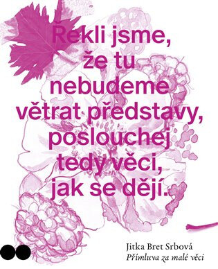 Obálka knihy Přímluva za malé věci