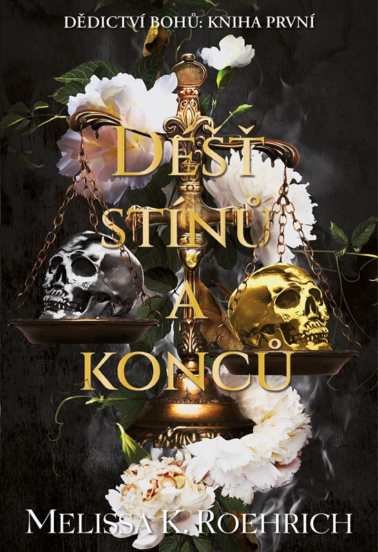 Obálka knihy Déšť stínů a konců