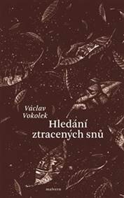Obálka knihy Hledání ztracených snů