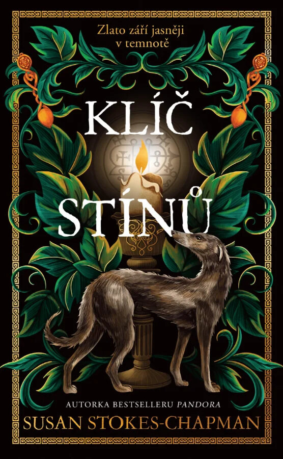 Obálka knihy Klíč stínů