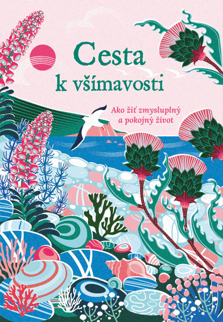 Obálka knihy Cesta k všímavosti