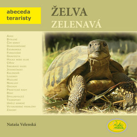 Obálka knihy Želva zelenavá