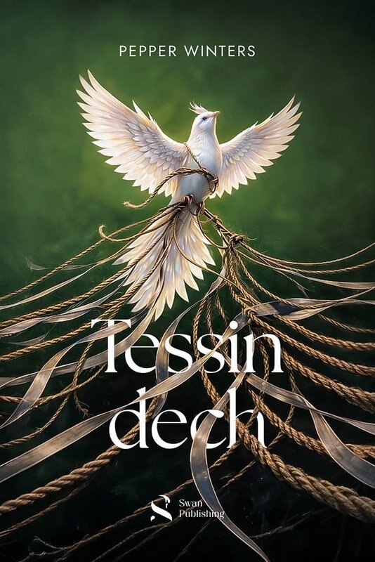 Obálka knihy Tessin dech