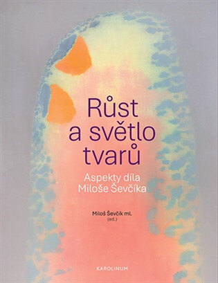 Obálka knihy Růst a světlo tvarů
