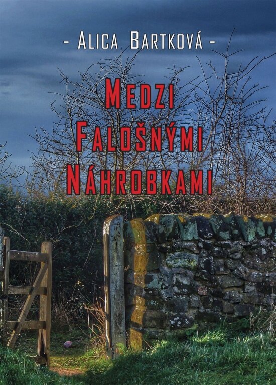 Obálka knihy Medzi falošnými náhrobkami