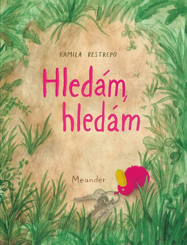Obálka knihy Hledám, hledám