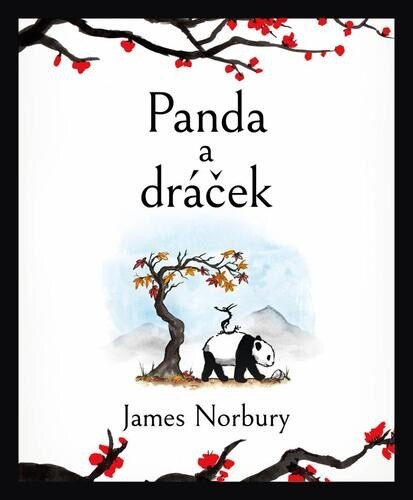 Obálka knihy Panda a dráček