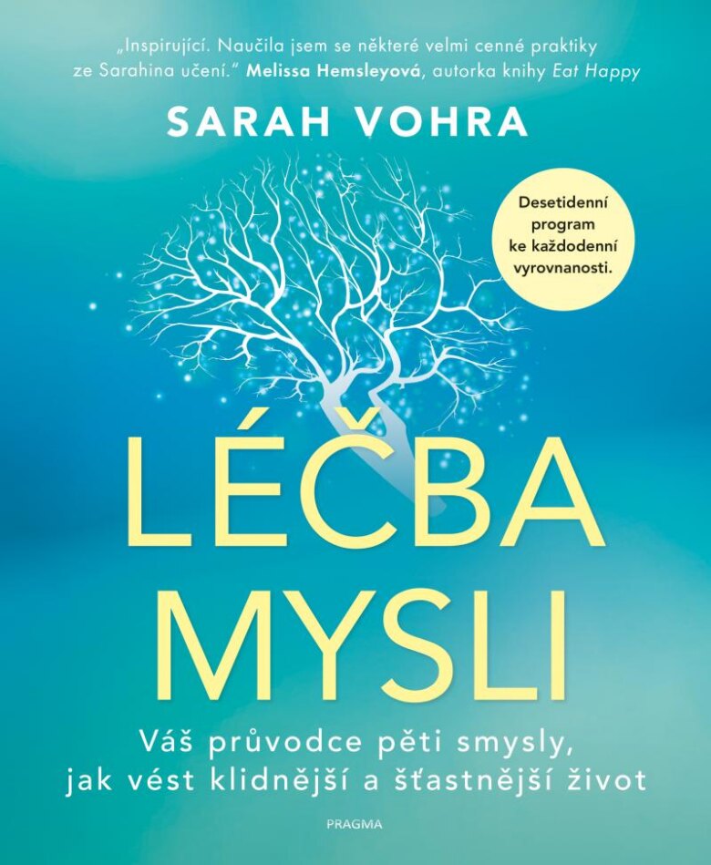 Obálka knihy Léčba mysli