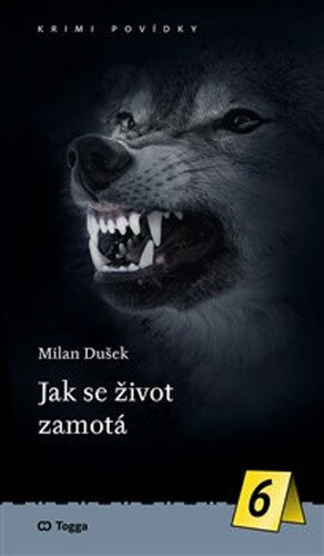 Obálka knihy Jak se život zamotá