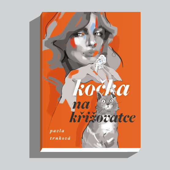 Obálka knihy Kočka na křižovatce