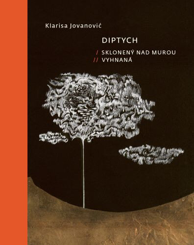 Obálka knihy Diptych