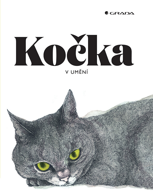Obálka knihy Kočka v umění