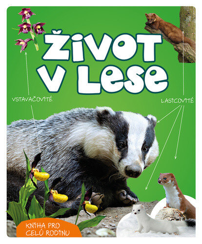 Obálka knihy Život v lese
