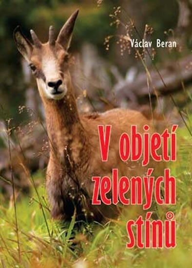 Obálka knihy V objetí zelených stínů
