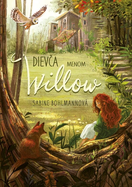 Obálka knihy Dievča menom Willow