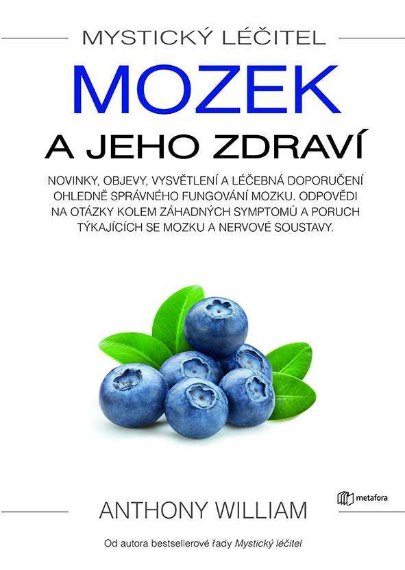 Obálka knihy Mystický léčitel: Mozek a jeho zdraví