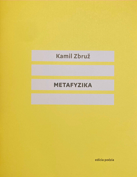 Obálka knihy Metafyzika
