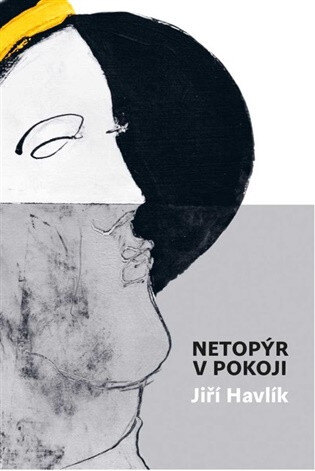 Obálka knihy Netopýr v pokoji