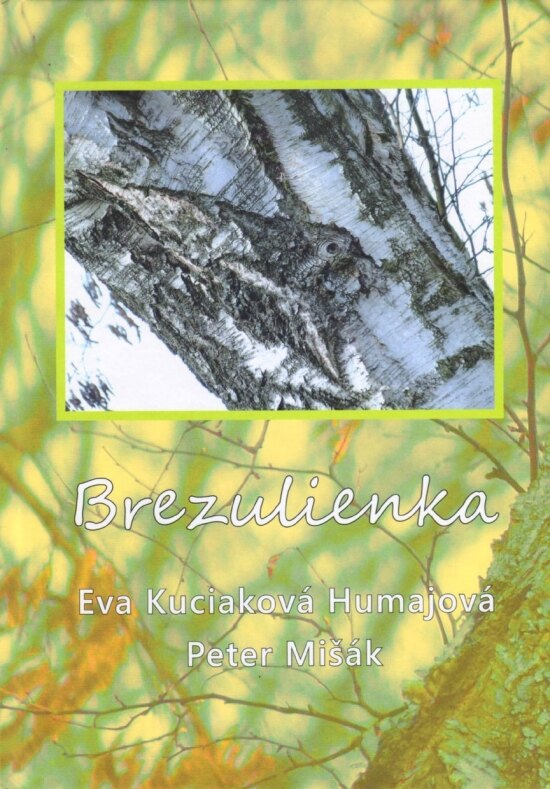 Obálka knihy Brezulienka