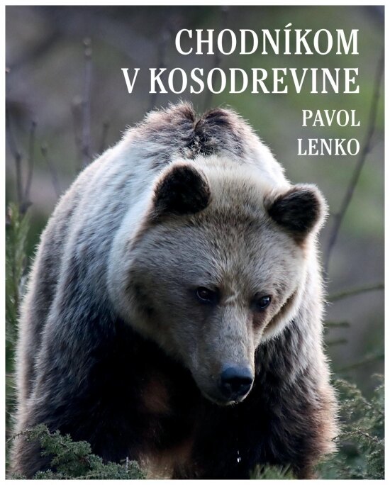 Obálka knihy Chodníkom v kosodrevine