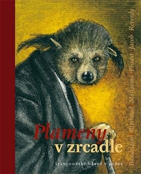 Obálka knihy Plameny v zrcadle