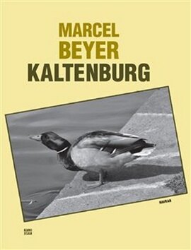 Obálka knihy Kaltenburg