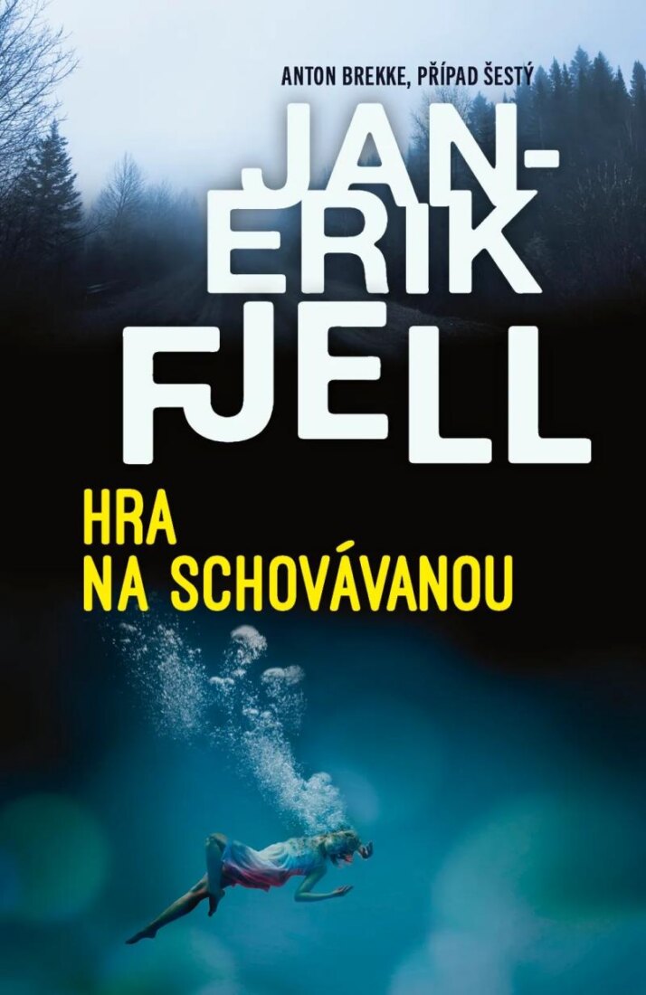 Obálka knihy Hra na schovávanou