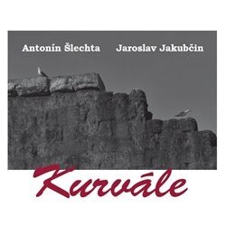 Obálka knihy Kurvále