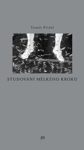 Obálka knihy Studování mělkého kroku