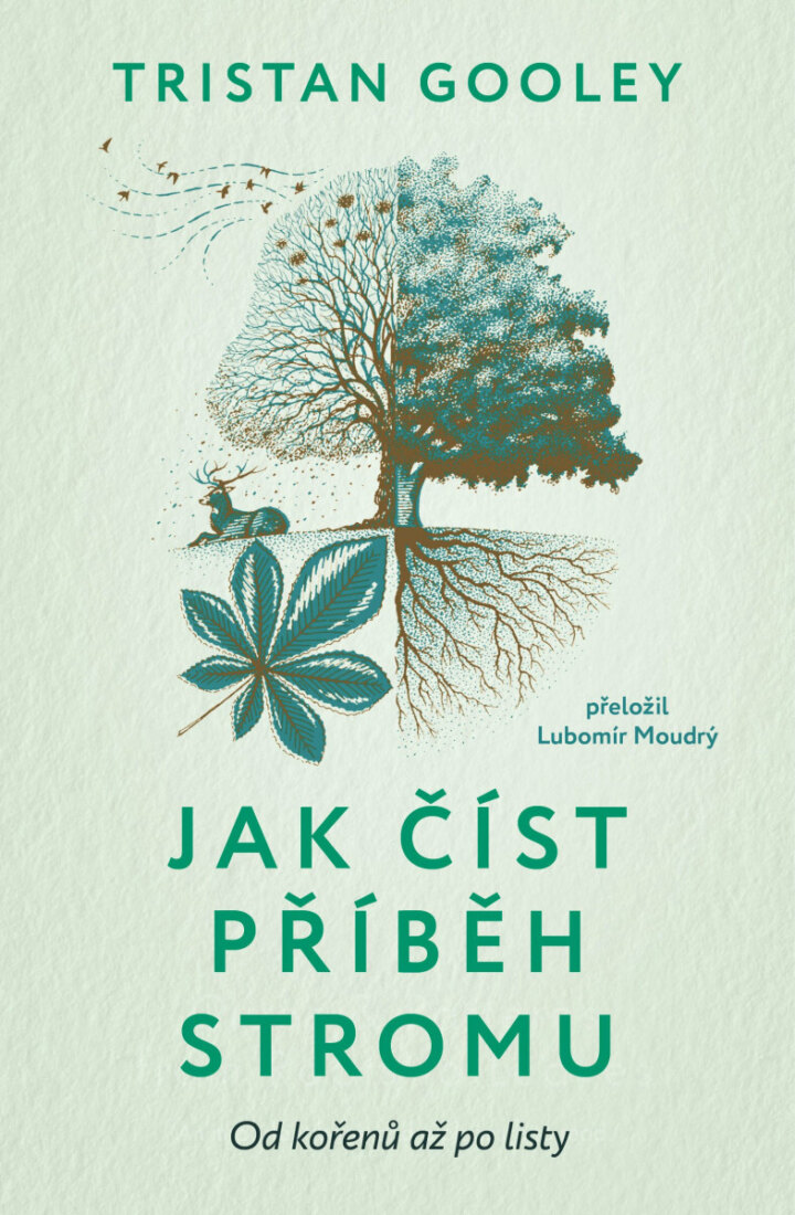 Obálka knihy Jak číst příběh stromu
