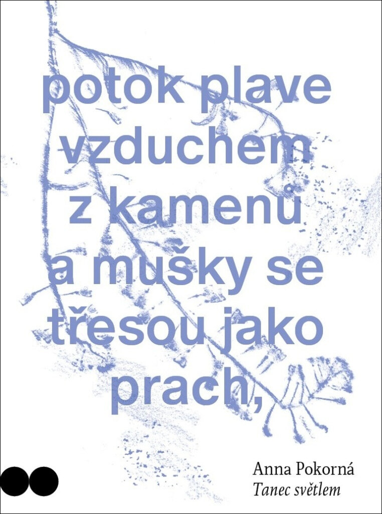 Obálka knihy Tanec světlem