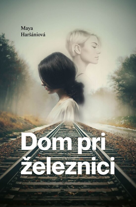 Obálka knihy Dom Pri železnici