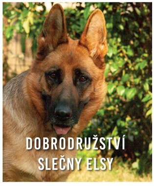 Obálka knihy Dobrodružství slečny Elsy