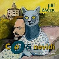 Obálka knihy Co oči nevidí