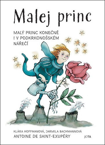 Obálka knihy Malej princ