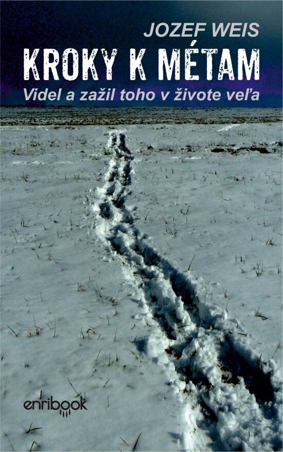 Obálka knihy Kroky k métam