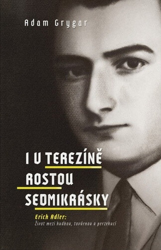 Obálka knihy I v Terezíně rostou sedmikrásky