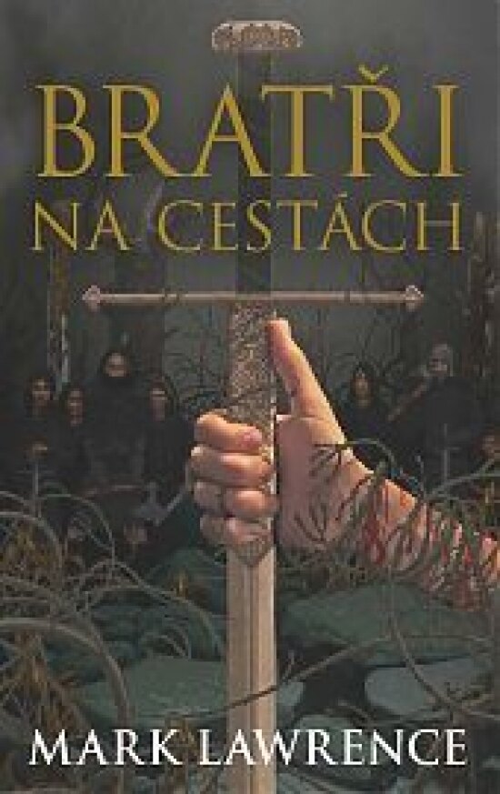 Obálka knihy Bratři na cestách