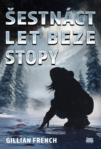 Obálka knihy Šestnáct let beze stopy