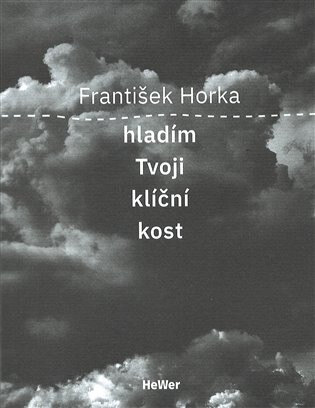 Obálka knihy Hladím Tvoji klíční kost