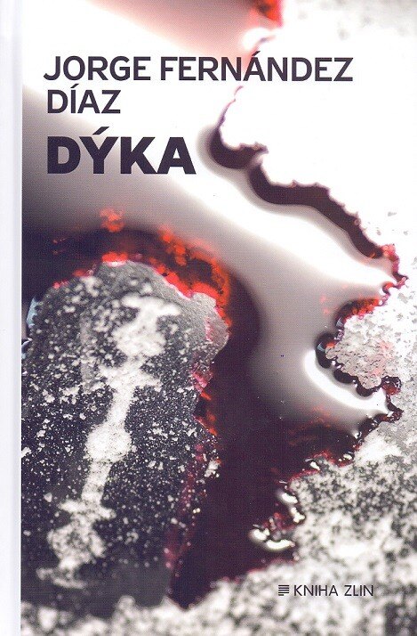 Obálka knihy Dýka