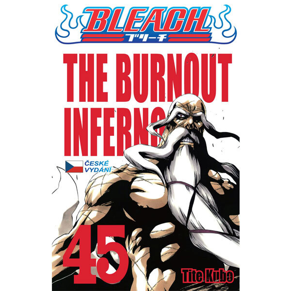 Obálka knihy Bleach 45: The Burnout Inferno