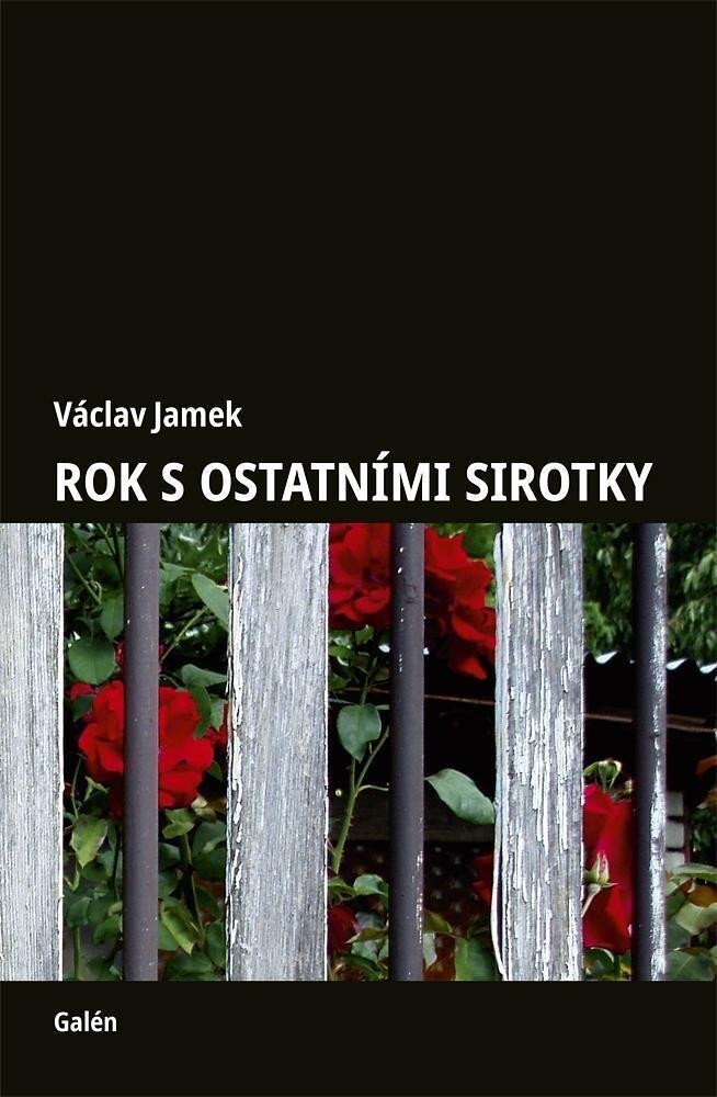 Obálka knihy Rok s ostatními sirotky